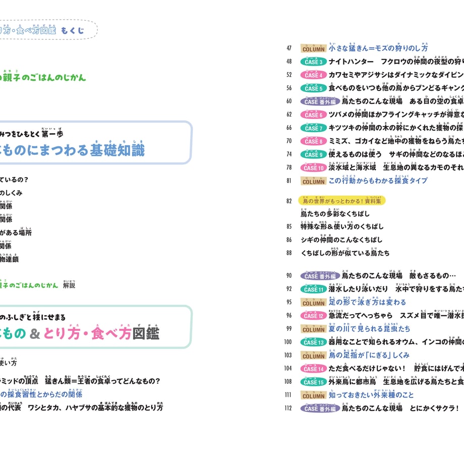 641ab669d356f7002b719daf