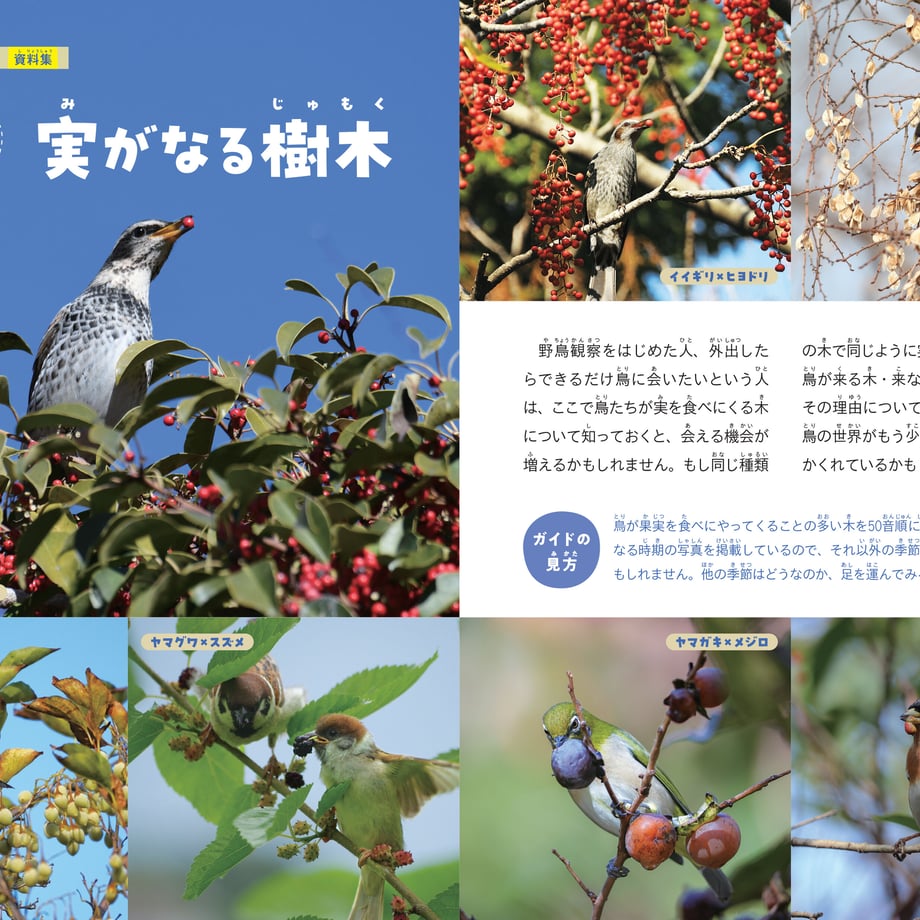 641ab669d356f7002b719daf