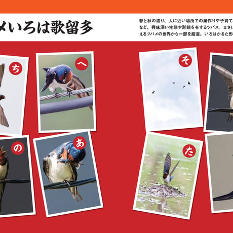 にっぽんツバメ紀行