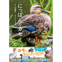 にっぽんのカモ