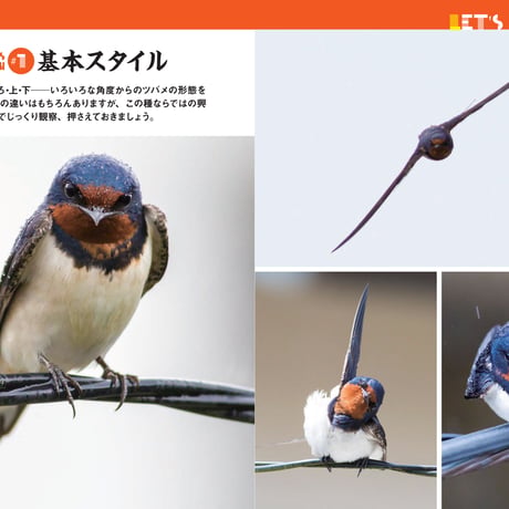 にっぽんツバメ紀行