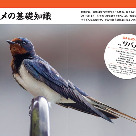 にっぽんツバメ紀行