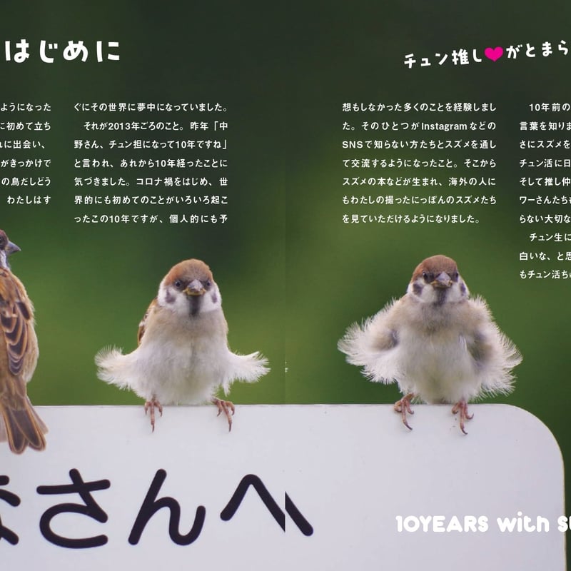 にっぽんスズメ日誌 | カンゼンWEBショップ