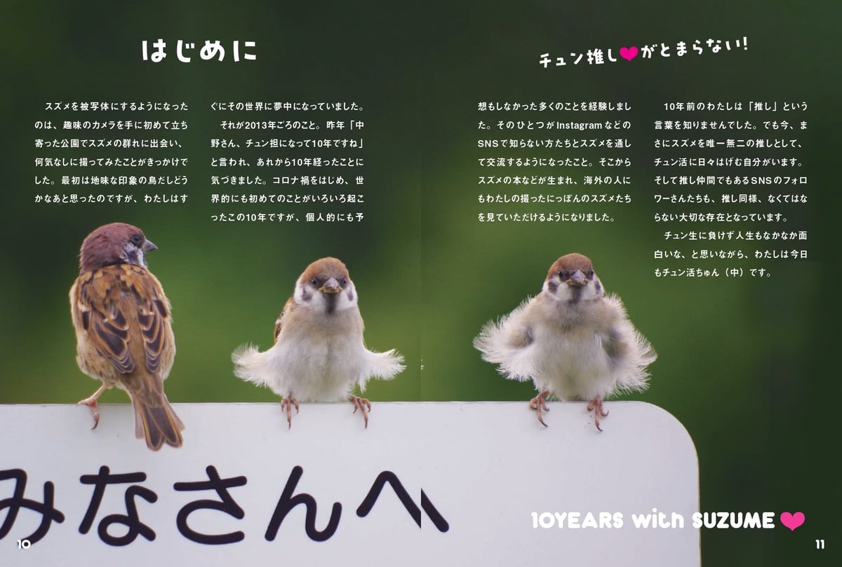 【LS500 F SPORT様】スズメ歳時記 LS500 F SPORT様】スズメ歳時記 img_91d4a82616aa3a95f4d7fbc61f