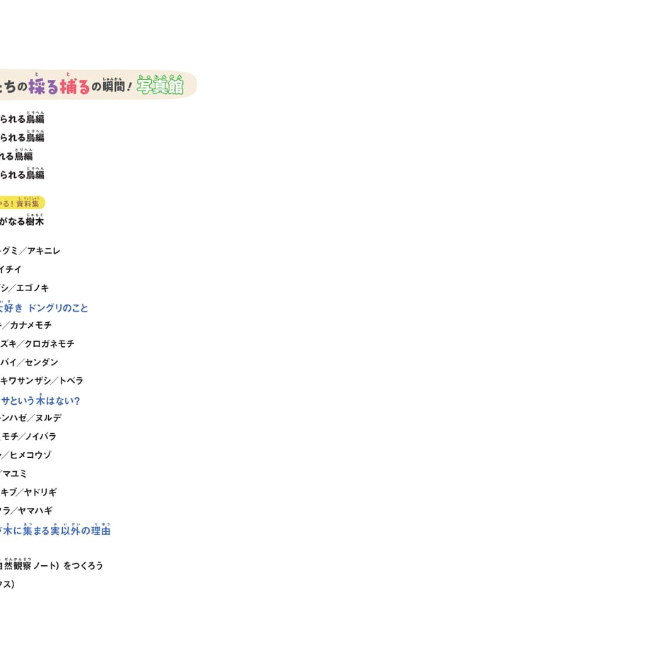 641ab669d356f7002b719daf