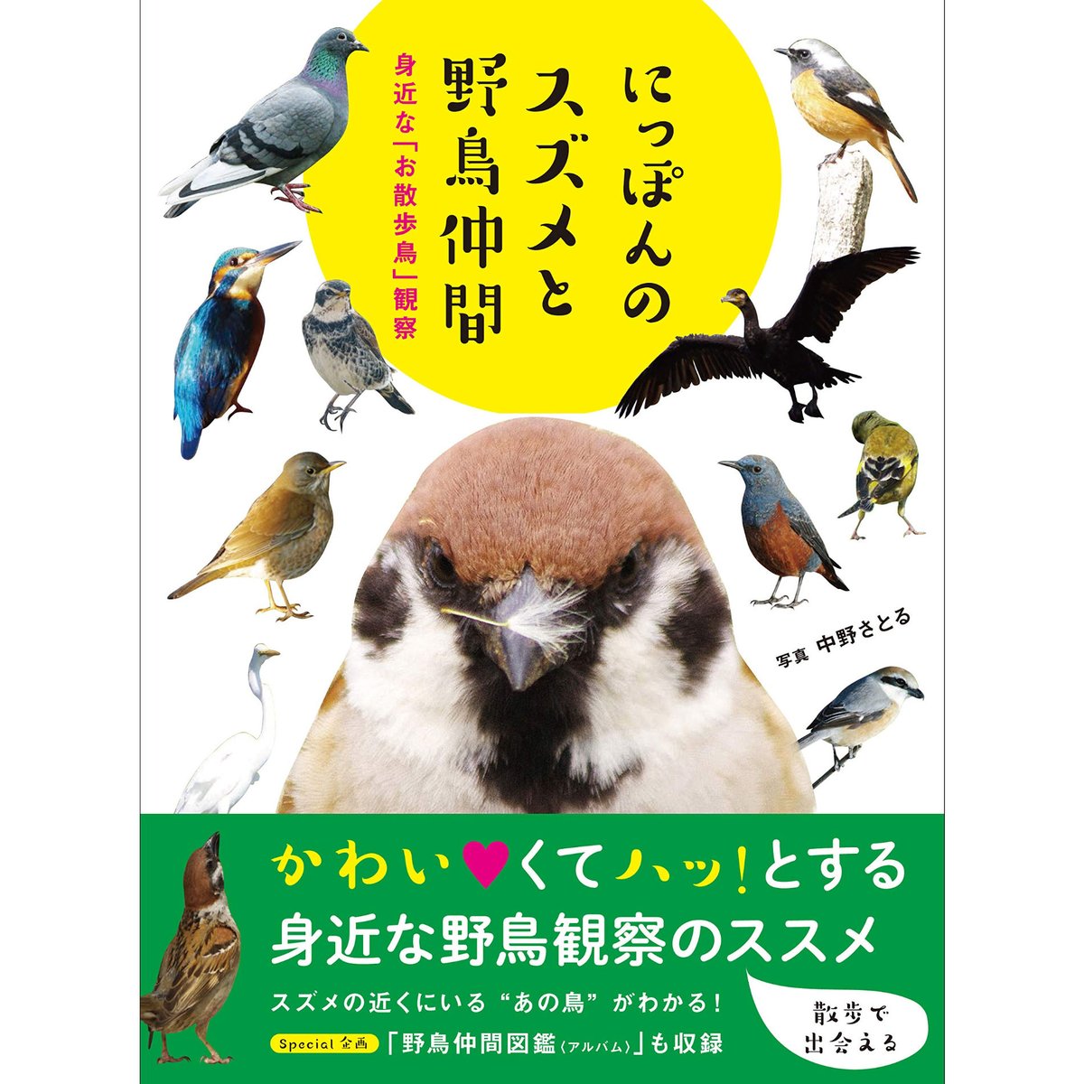 にっぽんのスズメと野鳥仲間 | カンゼンWEBショップ