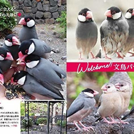 にっぽん文鳥絵巻