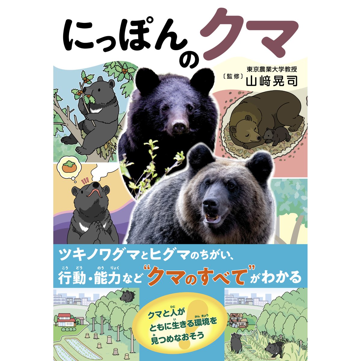 にっぽんのクマ | カンゼンWEBショップ