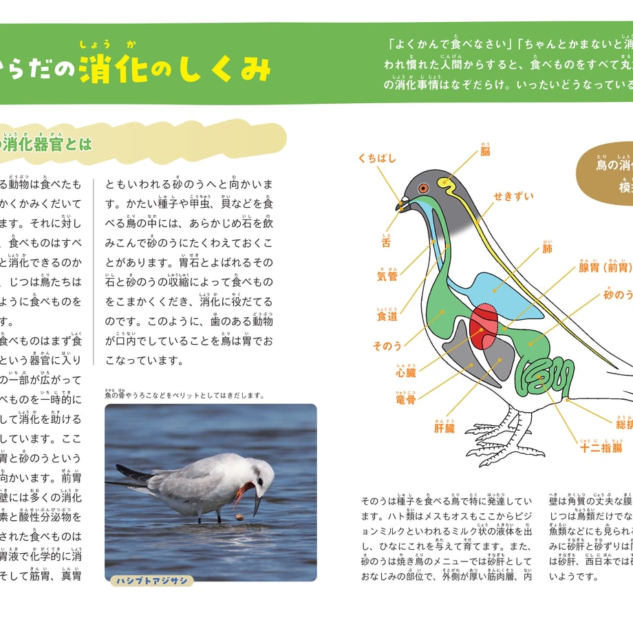 641ab669d356f7002b719daf
