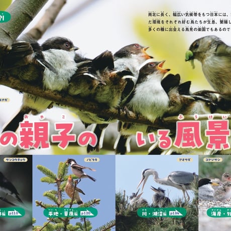 鳥の親子＆子育て図鑑