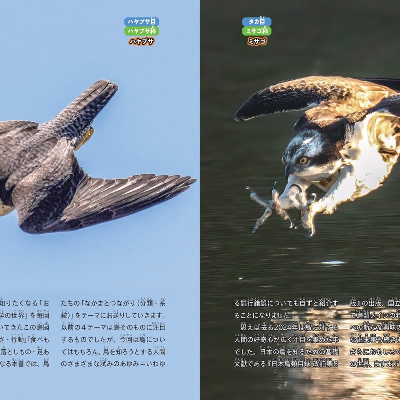 鳥のなかま＆分類・系統図鑑 | カンゼンWEBショップ