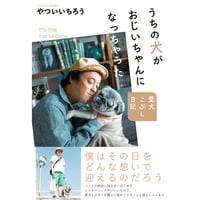 うちの犬がおじいちゃんになっちゃった 愛犬こぶし日記