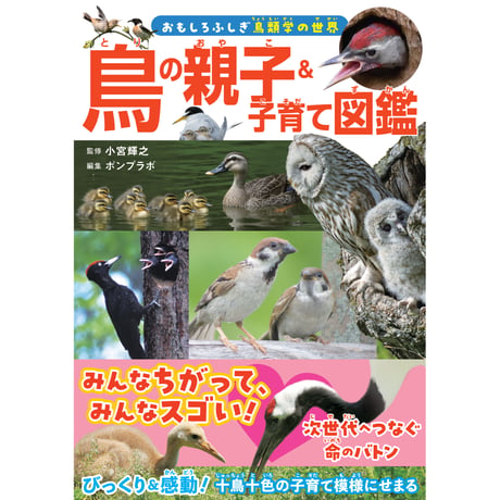 鳥の親子＆子育て図鑑