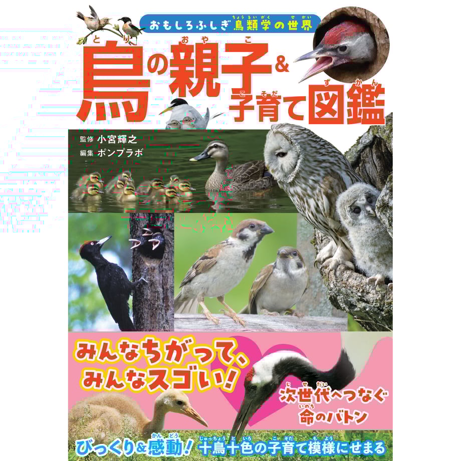 652e37b5900a51054bc670c4