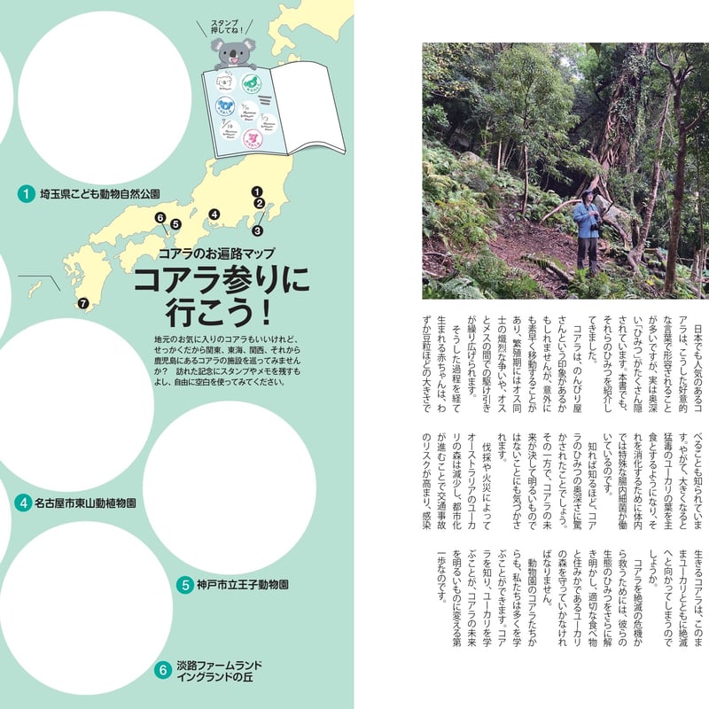 コアラのひみつ | カンゼンWEBショップ