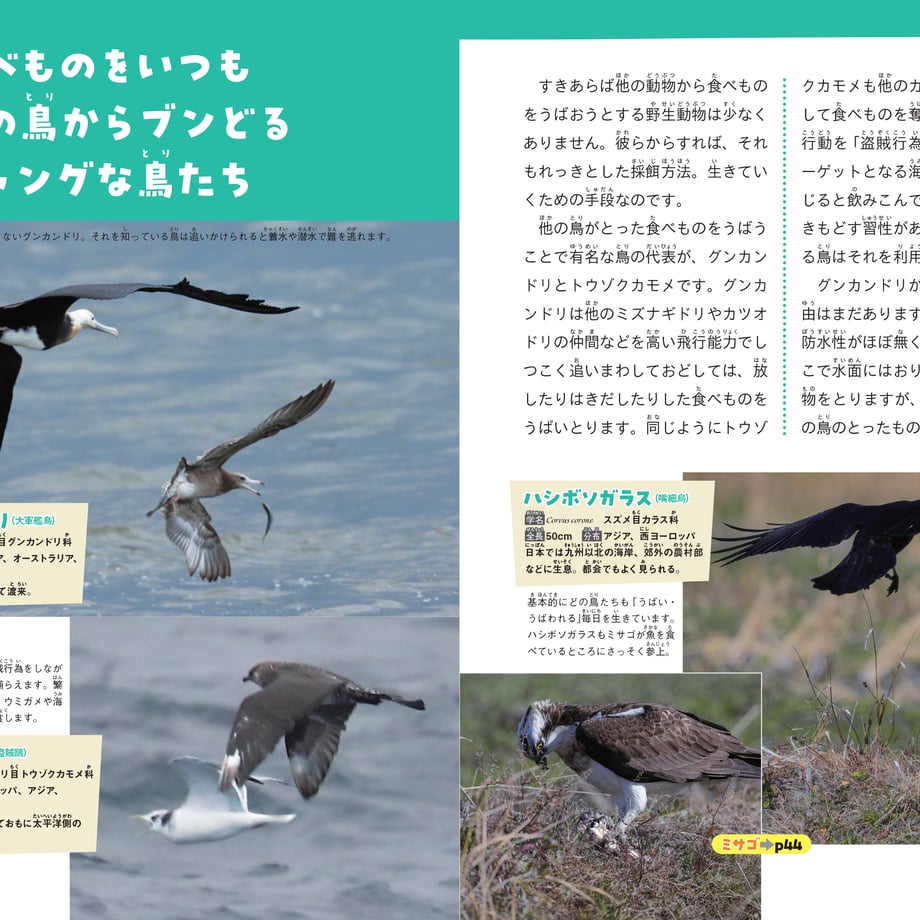 641ab669d356f7002b719daf
