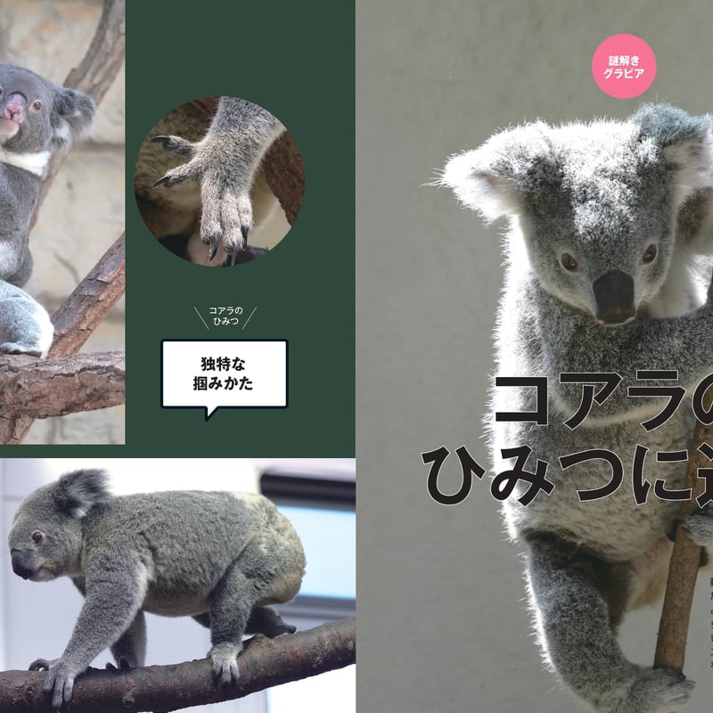 コアラの子供が緑のウンチを食べる理由: 知られざる野生の王国 (青春文庫 コアラの子供が緑のウンチを食べる理由: 知られざる野生の王国