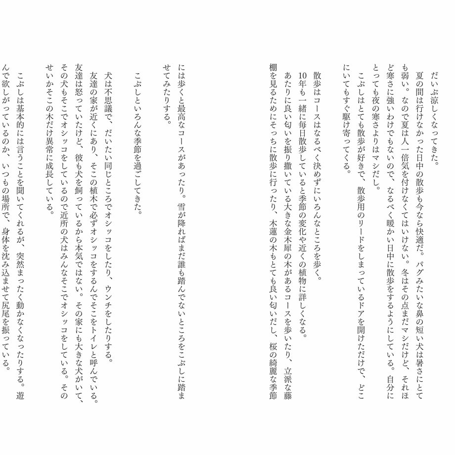 6296d24839da5f35e4f6cde9