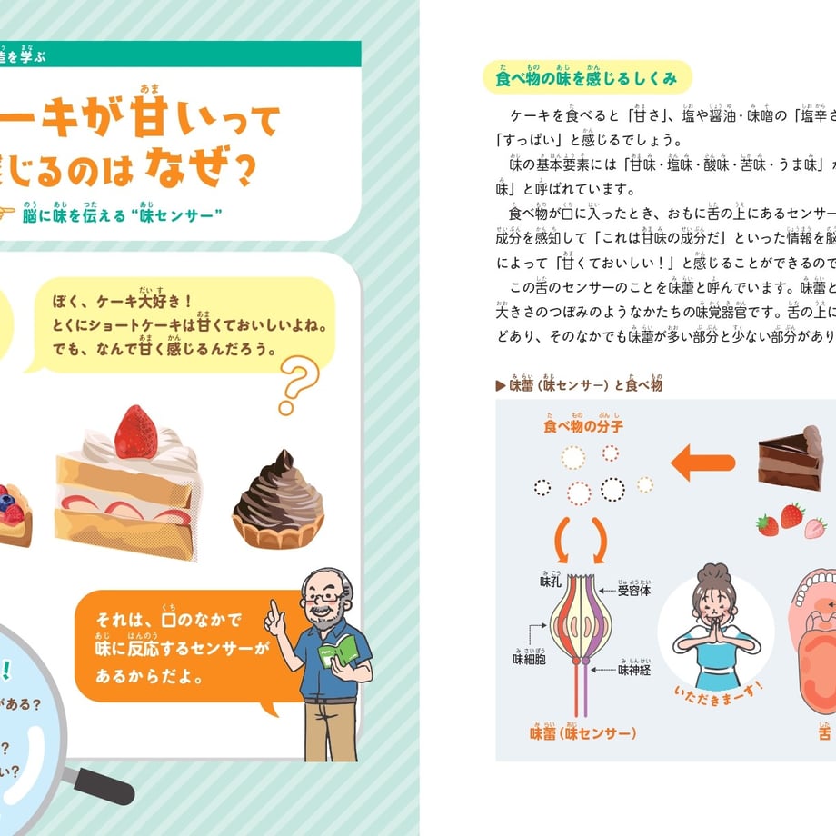 65854bb8d397ae175534fa5d