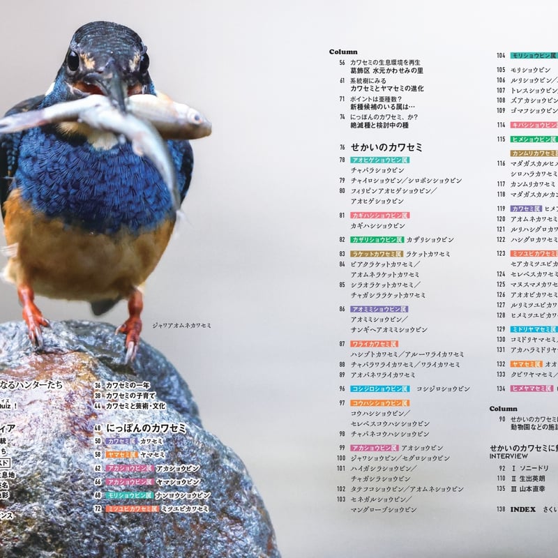 せかいのカワセミ | カンゼンWEBショップ