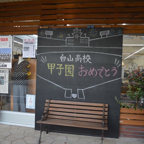 下剋上球児 三重県立白山高校、甲子園までのミラクル
