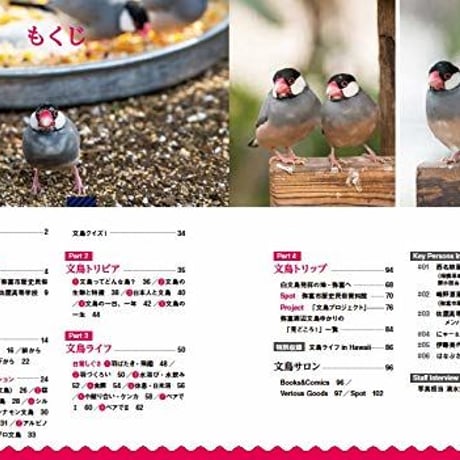 にっぽん文鳥絵巻
