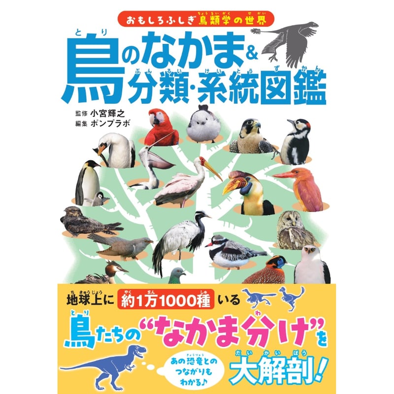 鳥のなかま＆分類・系統図鑑 | カンゼンWEBショップ