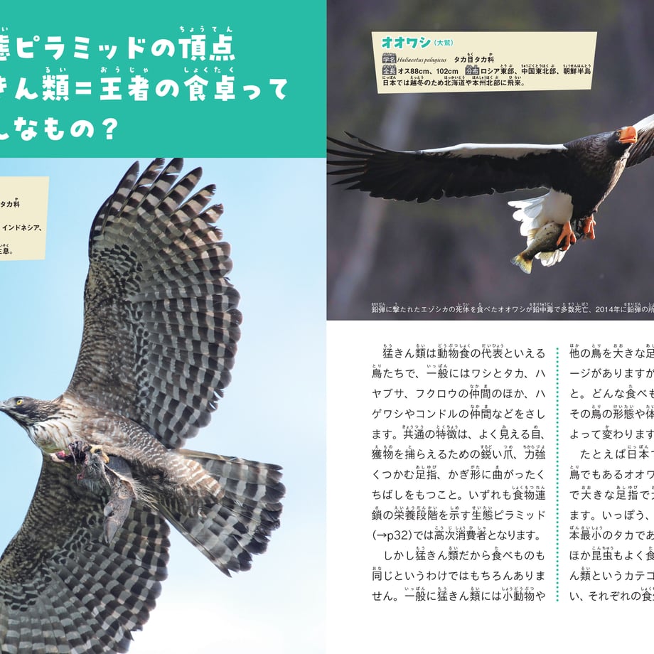641ab669d356f7002b719daf