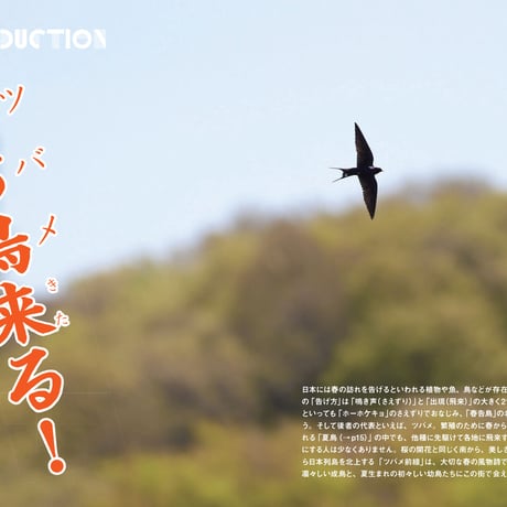 にっぽんツバメ紀行