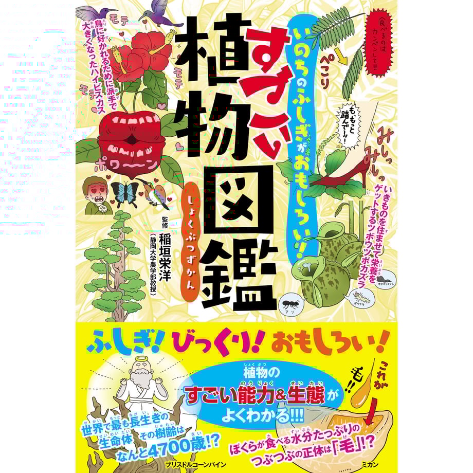 60235a0b6e84d54bcc445cd4