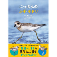 にっぽんのシギ・チドリ