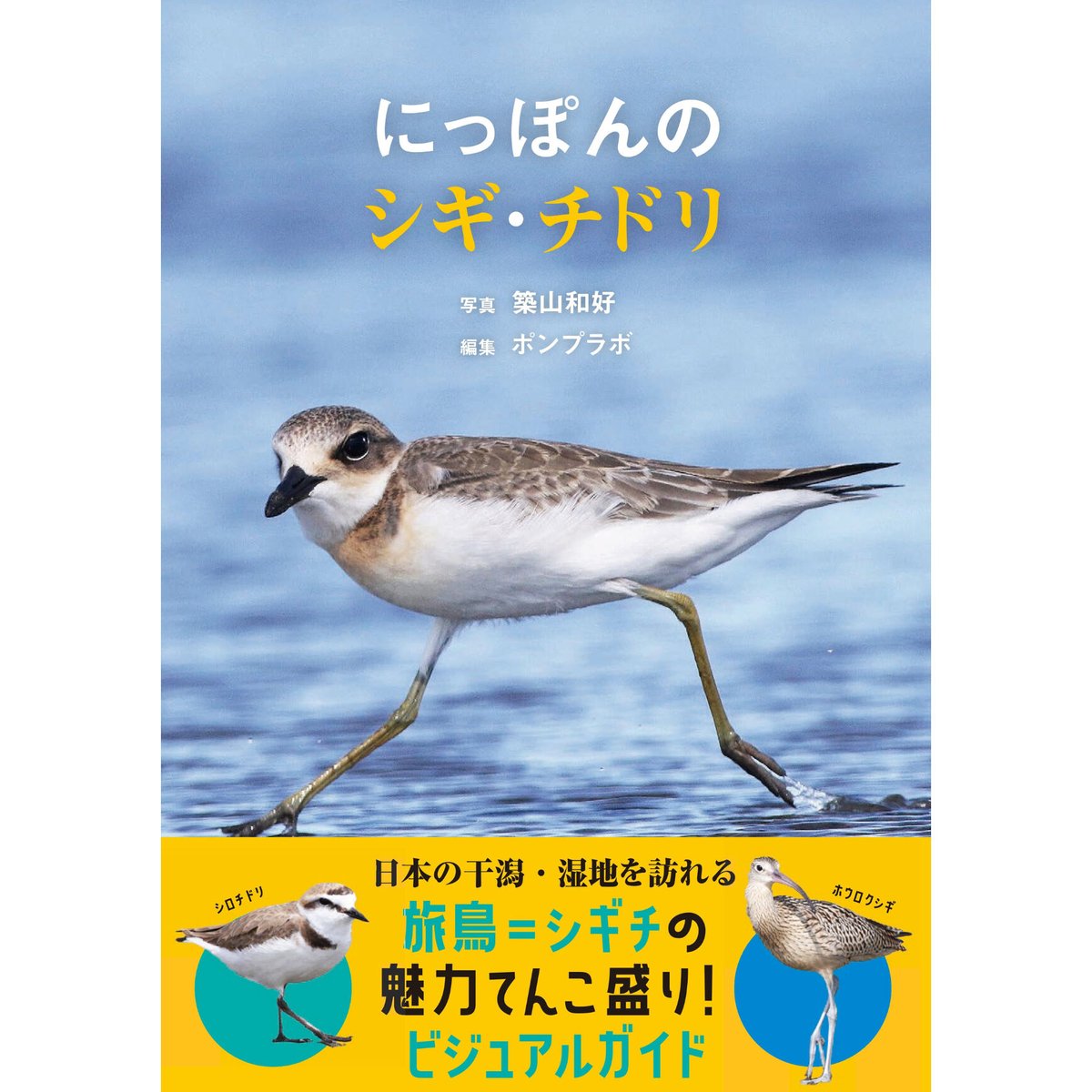 にっぽんのシギ・チドリ | カンゼンWEBショップ にっぽんのシギ・チドリ | カンゼンWEBショップ