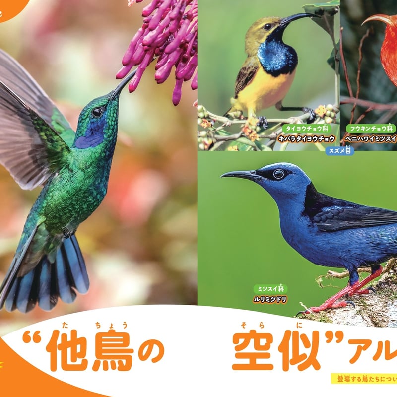 鳥のなかま＆分類・系統図鑑 | カンゼンWEBショップ