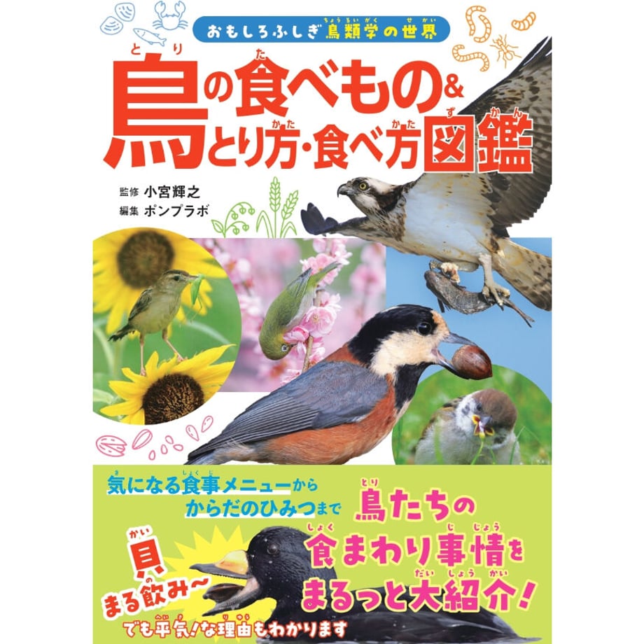 641ab669d356f7002b719daf