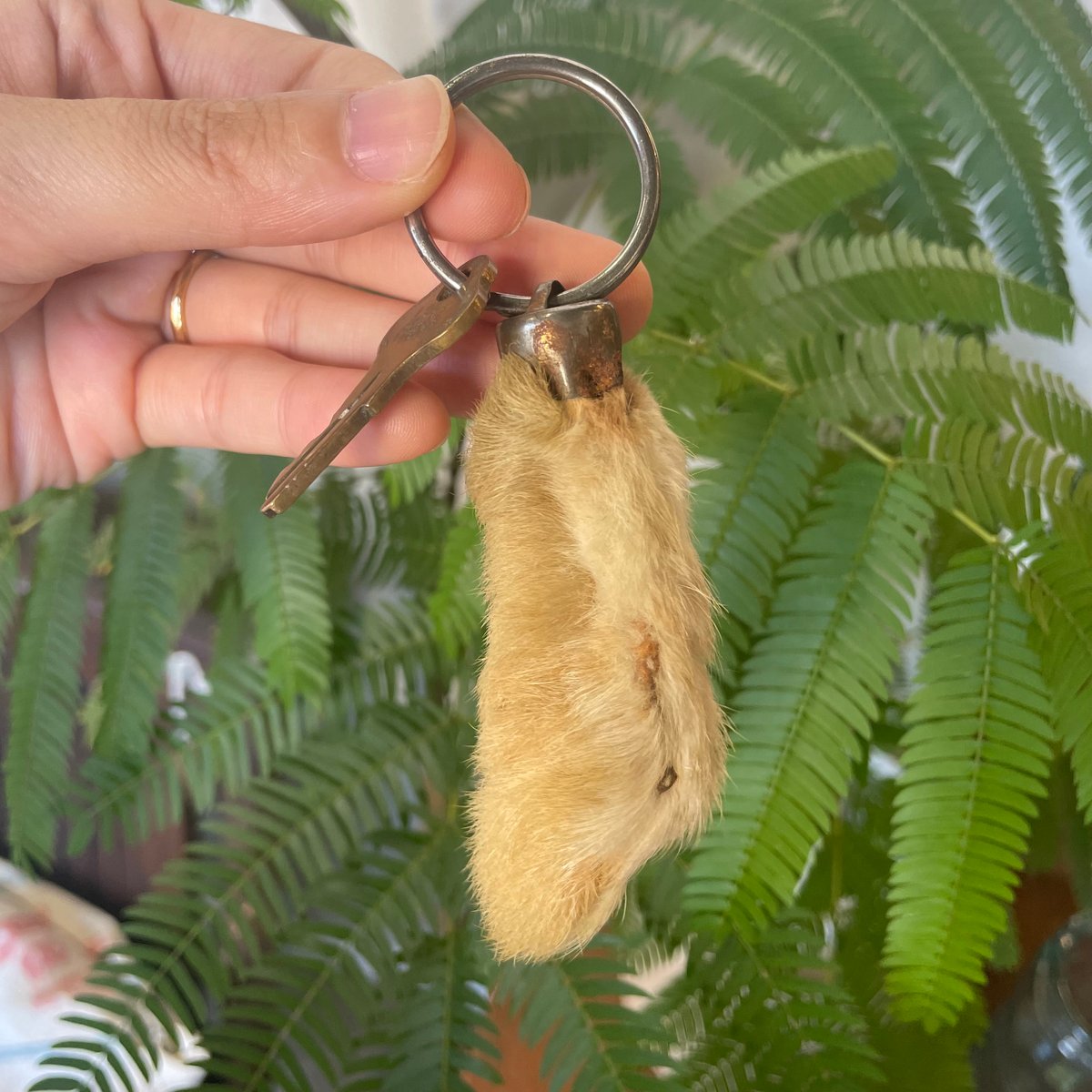 1960's ラビットフット 1940-60's ラビットフットキーホルダー | 7miles from the Dream