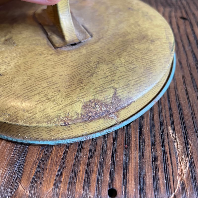 ブリキの地球儀のある静物 自然学習館 > 地球儀 > OYV260 土地被覆タイプ地球儀：レイメイ藤井