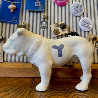 1960’s YALE ブルドッグ