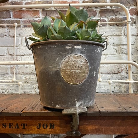 7miles from the Dreamland