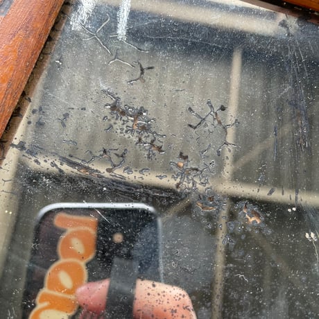 1920’s アドバタイジング 木製ミラー