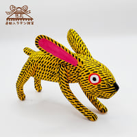 イッテQでも紹介! メキシコ産 羽がついたかわいい犬のアレブリヘ（送料