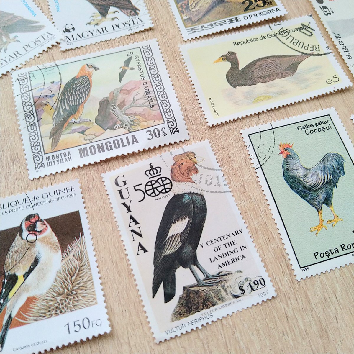 3282 外国切手 ココス諸島 1969年 島の野生生物 貝 鳥 12種完 3282 外国切手 ココス諸島 1969年 島の野生生物 貝 鳥 12種完