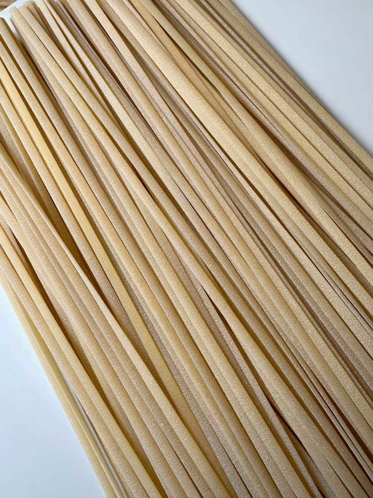 マンチーニリングイネ500g《冷凍便》《冷蔵便》《常温便》 | cenci manina