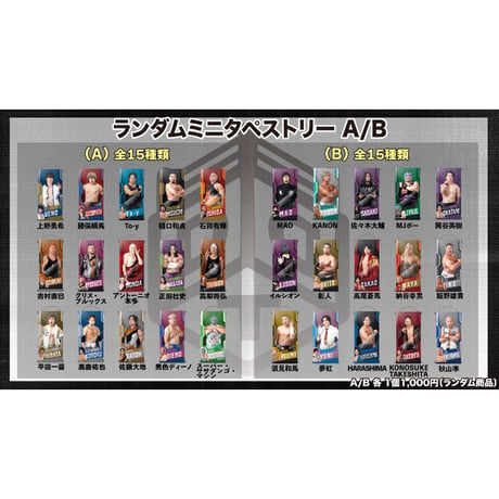 DDTクリス・ブルックス布タペストリー DDT ONLINE STORE