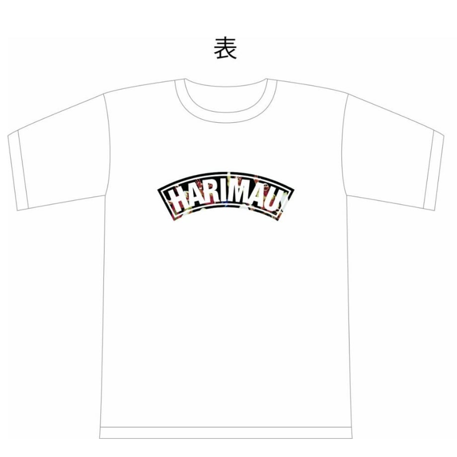 684a51a1d952302ec8f1295d