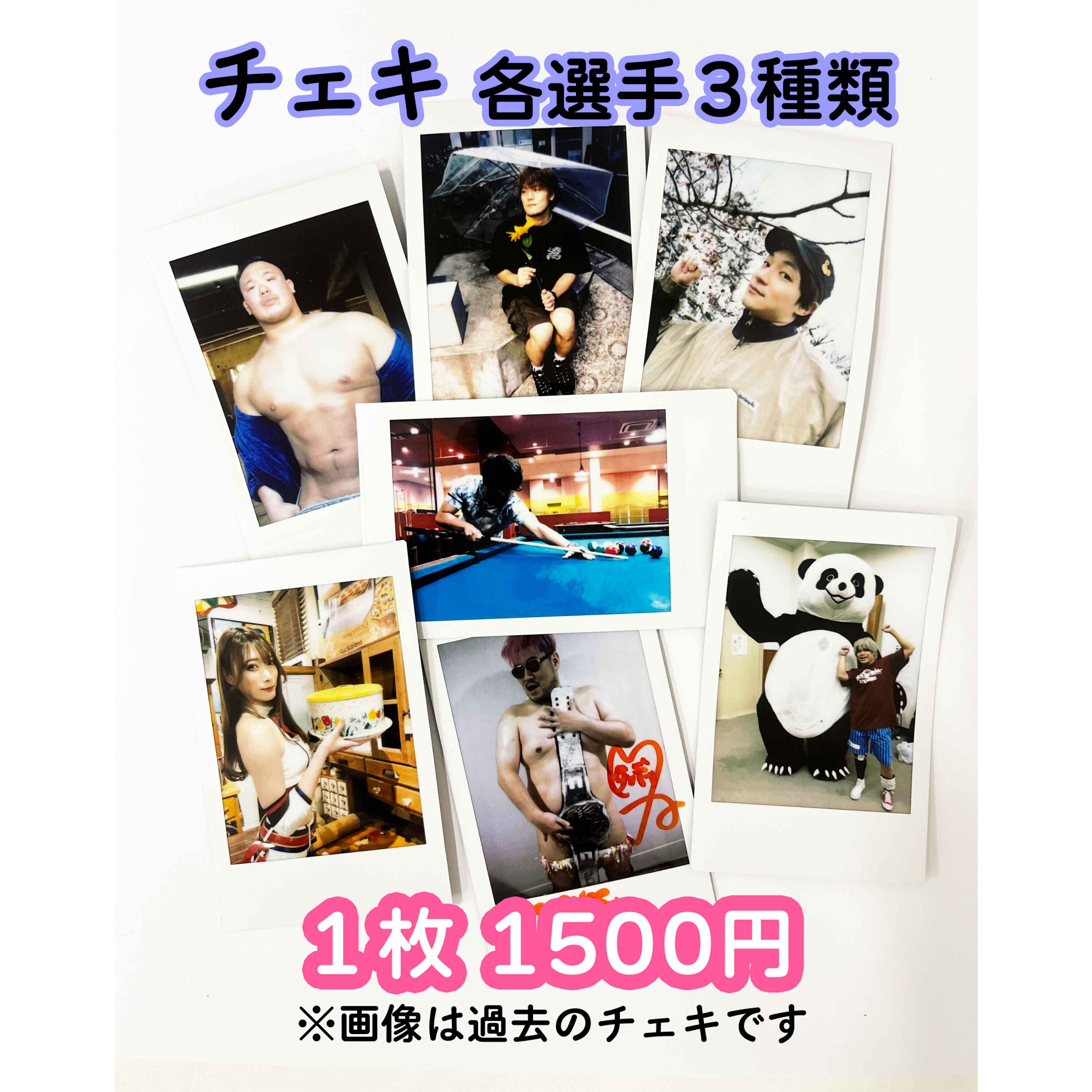 サイン会対象商品】チェキ 各選手3種類 | DDT ONLINE STORE