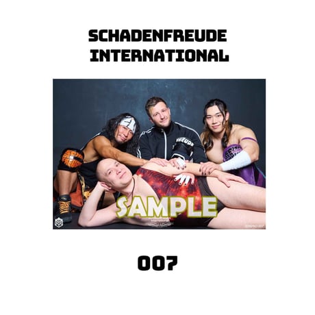 DDT プロレス　パンフレット　31冊　まとめ売り DDT プロレス パンフレット 31冊 まとめ売り 本