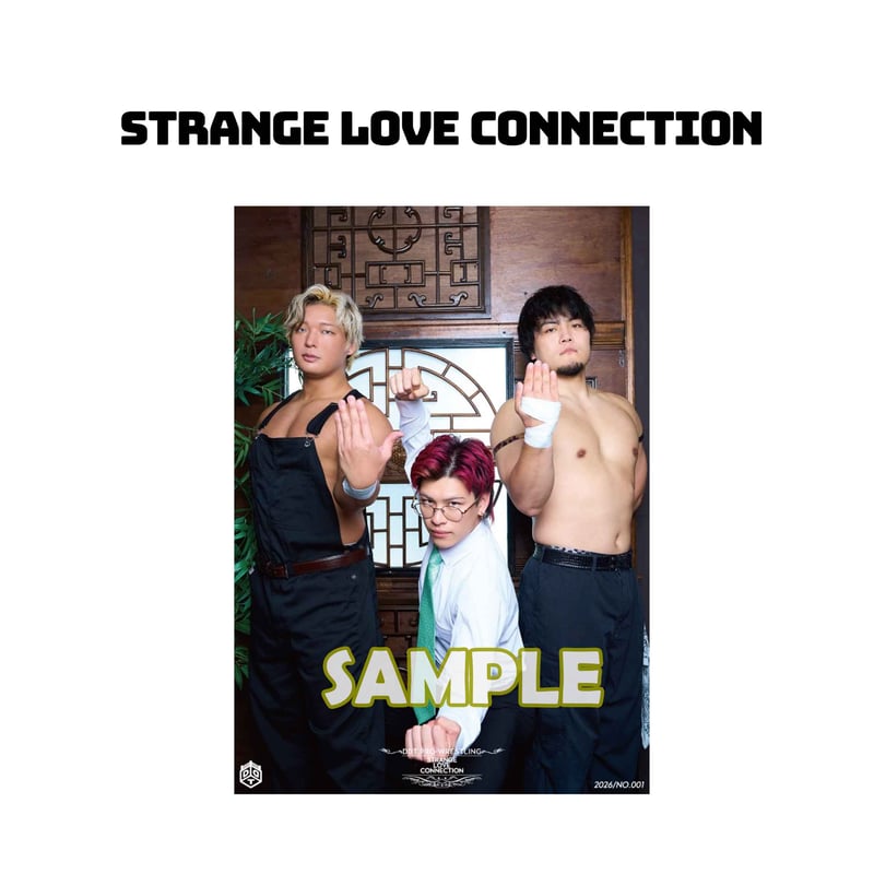 サイン会対象商品】ユニットポートレート | DDT ONLINE STORE