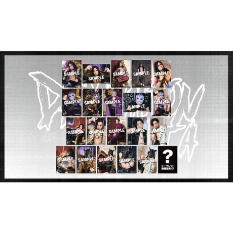 【オンライン限定】ランダム生写真セット DAMNATION T.A