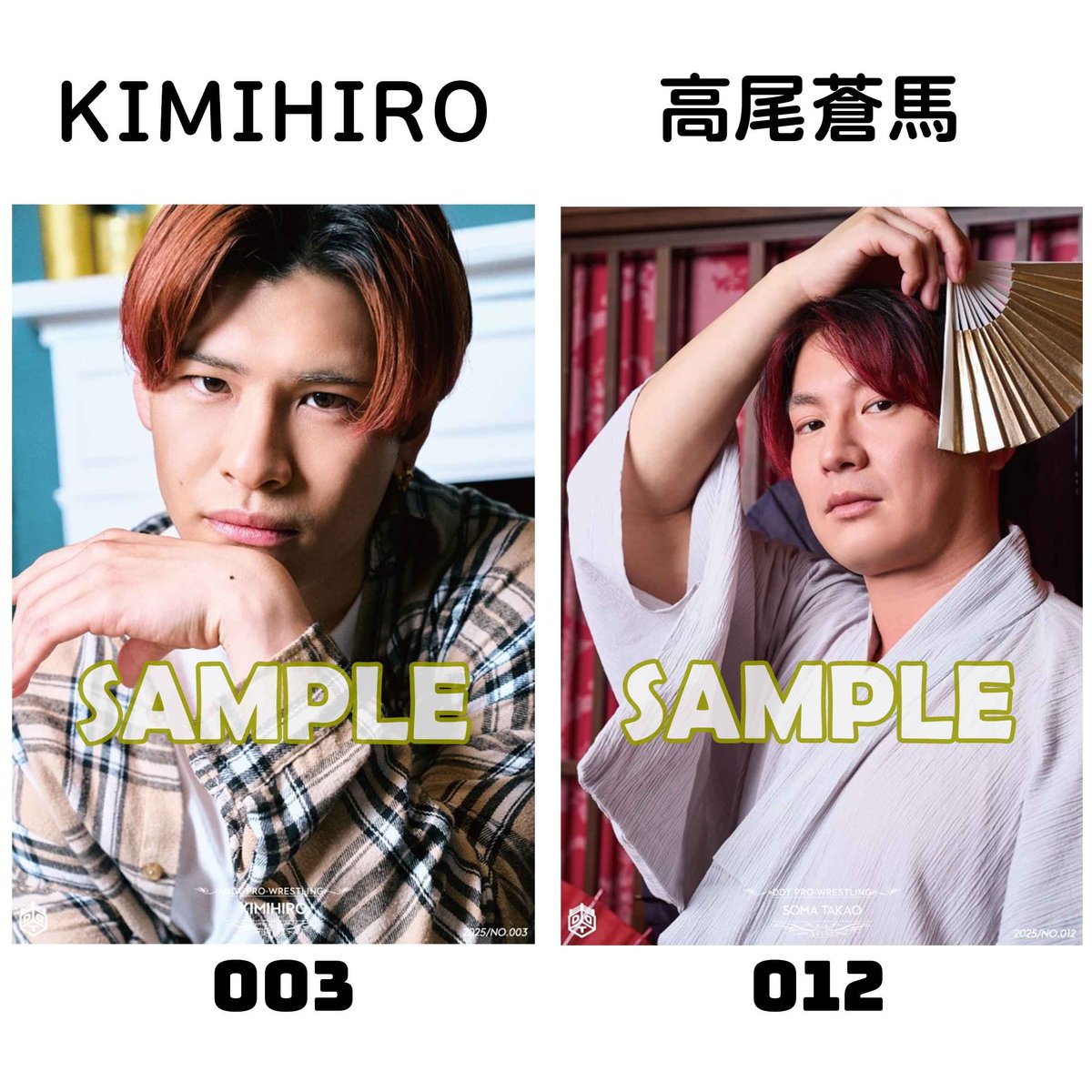 DDT佐々木大輔　アクスタ（サイン入り） DDT佐々木大輔 アクスタ（サイン入り） 2025年最新】佐々木大輔