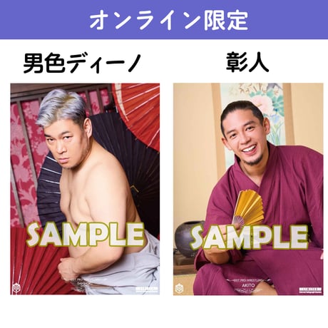 DDT プロレス　パンフレット　31冊　まとめ売り 全日本プロレス '88新春ジャイアント・シリーズ パンフレット